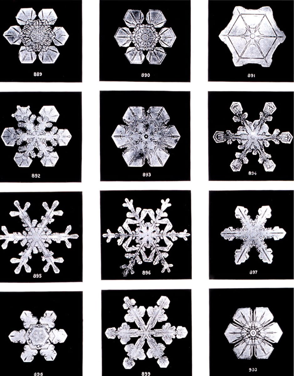 A grid of twelve numbered photographs of snow crystals, white on black, each a different six-sided star or plate
